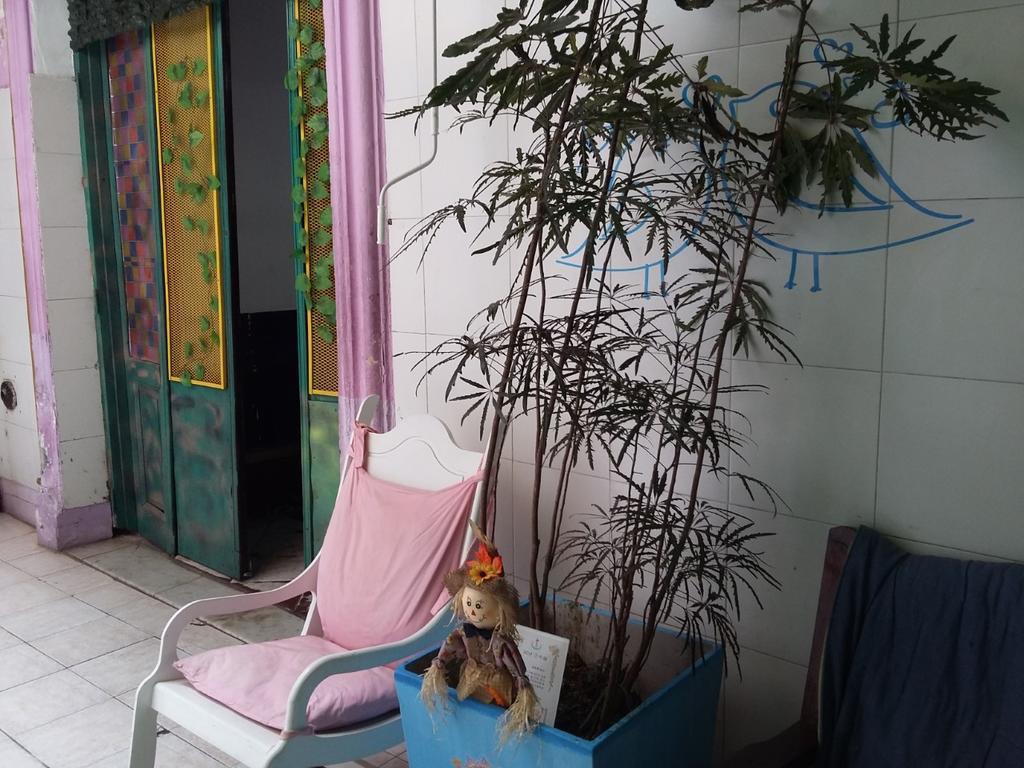 Hospedaje La Rana Μπουένος Άιρες Εξωτερικό φωτογραφία