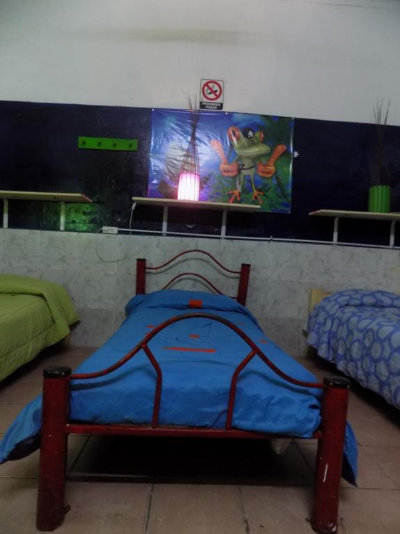 Hospedaje La Rana Μπουένος Άιρες Εξωτερικό φωτογραφία
